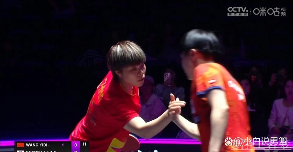 仁川乒联冠军赛：王艺迪对阵郑怡静精彩瞬间